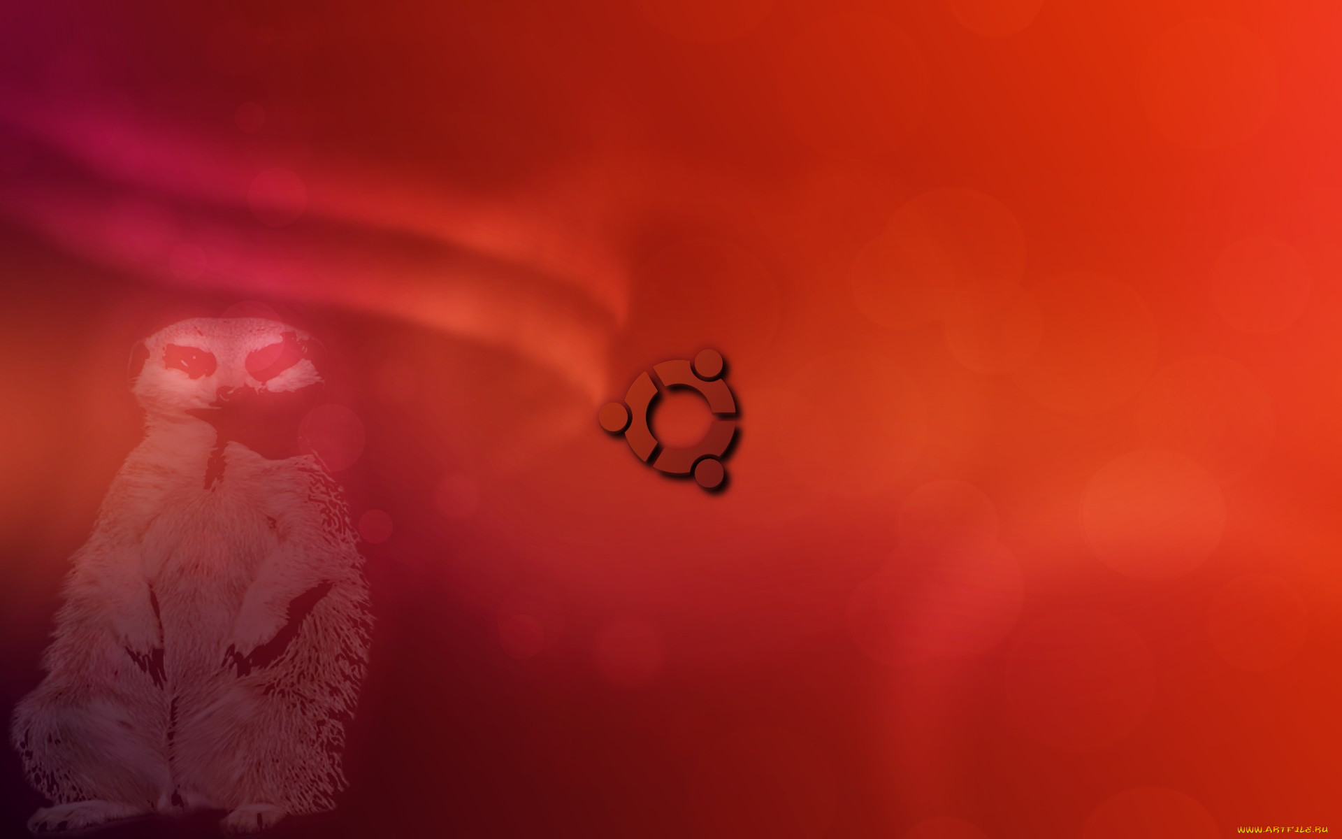 , ubuntu linux, , 
